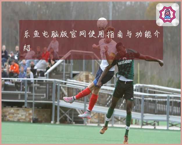 乐鱼电脑版官网使用指南与功能介绍