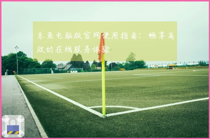 乐鱼电脑版官网使用指南：畅享高效的在线服务体验
