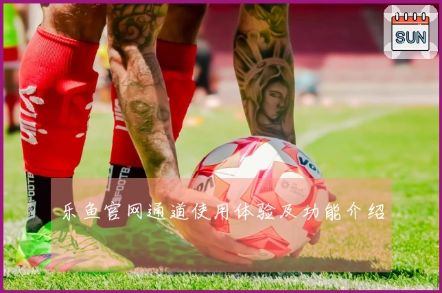 乐鱼官网通道使用体验及功能介绍