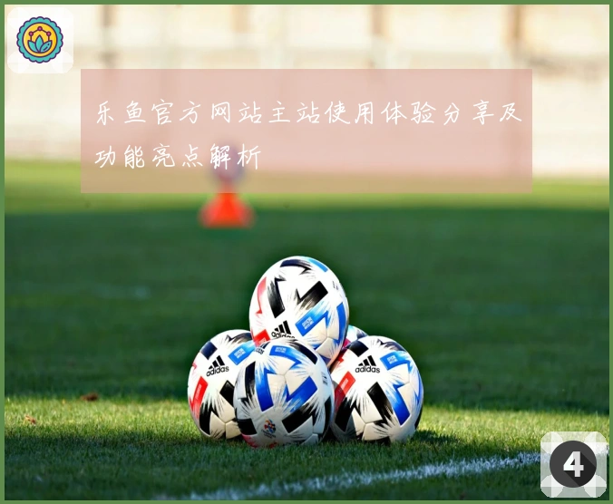 乐鱼官方网站主站使用体验分享及功能亮点解析