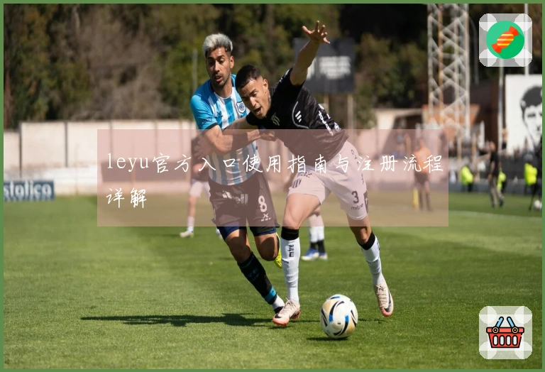 leyu官方入口使用指南与注册流程详解