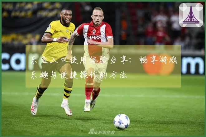 乐鱼入口使用体验分享：畅享游戏乐趣与便捷操作的方法