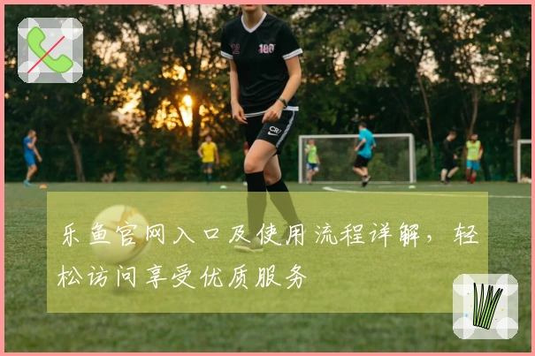 乐鱼官网入口及使用流程详解，轻松访问享受优质服务
